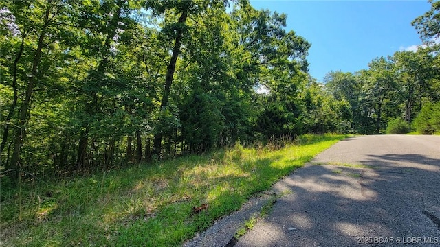 Listing photo 3 for LOT866 Grand Cypress Ct, Porto Cima MO 65079