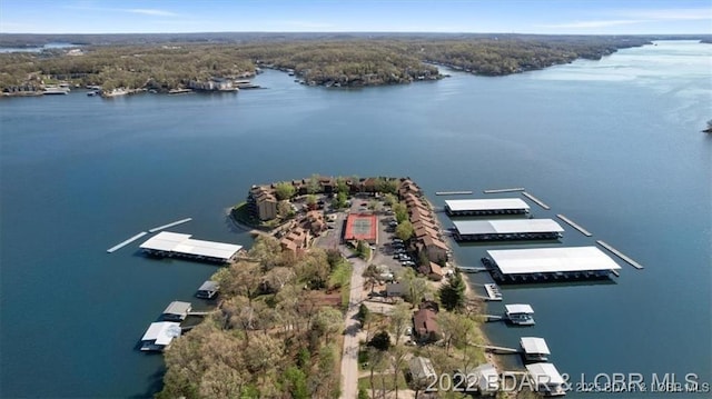 drone / aerial view with a water view