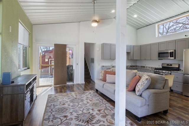 living room featuring a towering ceiling, plenty of natural light, and dark hardwood / wood-style floors