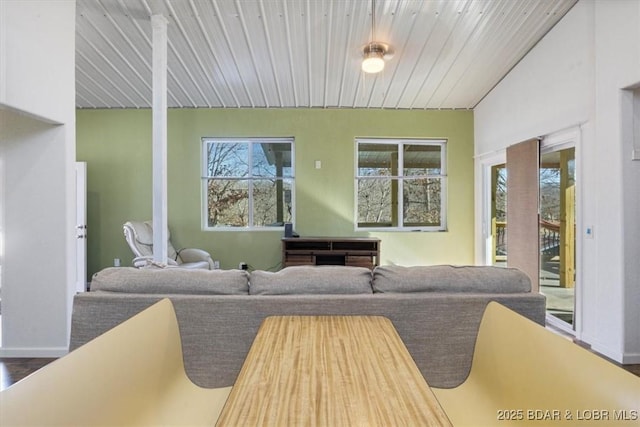 living room with hardwood / wood-style flooring and a wealth of natural light