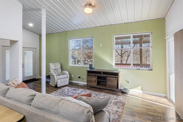 living room featuring hardwood / wood-style floors