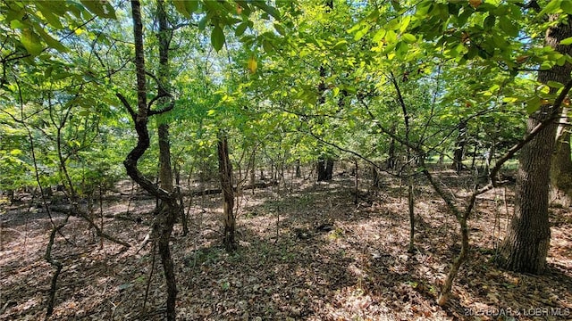 Listing photo 2 for LOT670 Grand Point Blvd, Porto Cima MO 65079