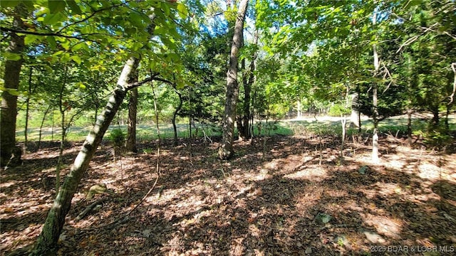 Listing photo 3 for LOT670 Grand Point Blvd, Porto Cima MO 65079