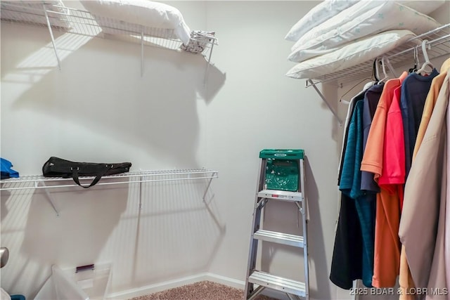 walk in closet with carpet flooring