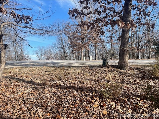 LOT501 Cambridge Dr, Lake Ozark, MO 65049 - photo 4