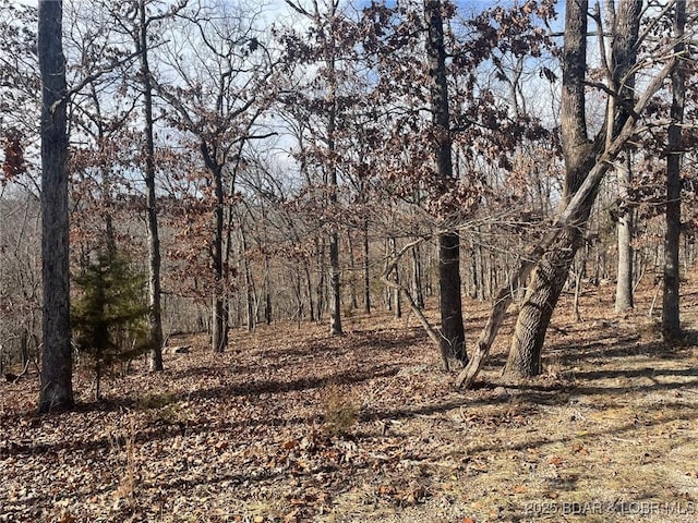 Listing photo 2 for LOT501 Cambridge Dr, Lake Ozark MO 65049