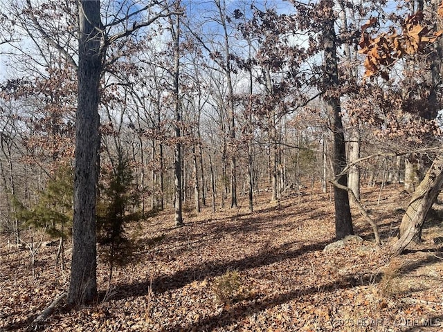 Listing photo 3 for LOT501 Cambridge Dr, Lake Ozark MO 65049