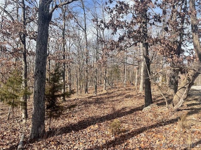 LOT501 Cambridge Dr, Lake Ozark, MO 65049 - photo 7