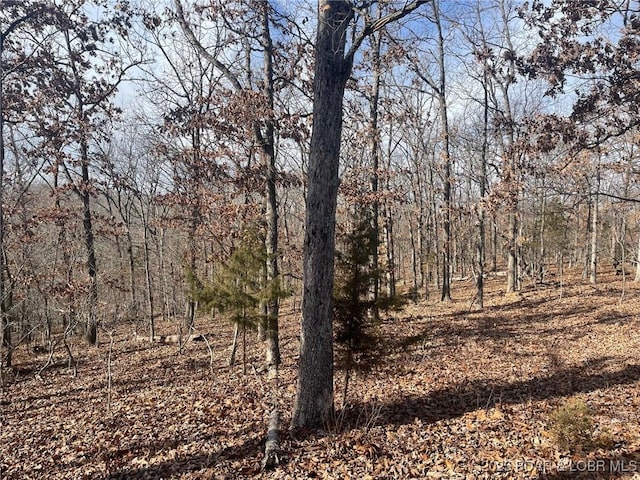 LOT501 Cambridge Dr, Lake Ozark, MO 65049 - photo 8