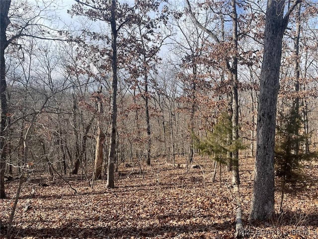 LOT501 Cambridge Dr, Lake Ozark, MO 65049 - photo 9