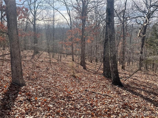 LOT501 Cambridge Dr, Lake Ozark, MO 65049 - photo 10
