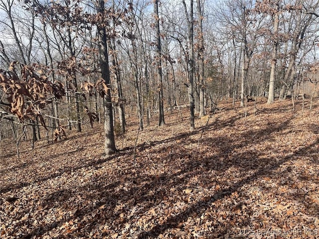 LOT501 Cambridge Dr, Lake Ozark, MO 65049 - photo 11
