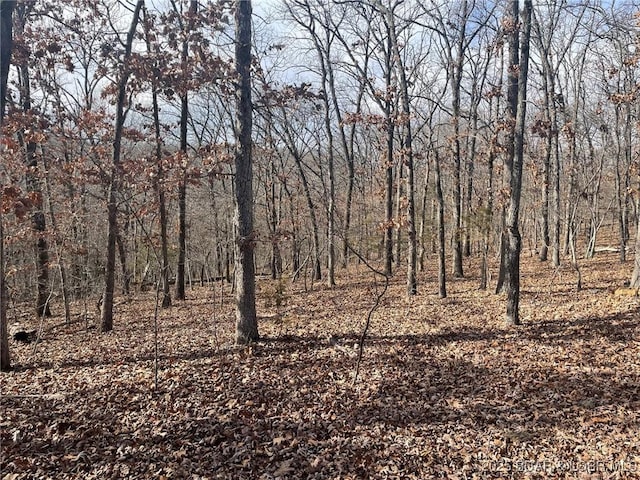 LOT501 Cambridge Dr, Lake Ozark, MO 65049 - photo 12