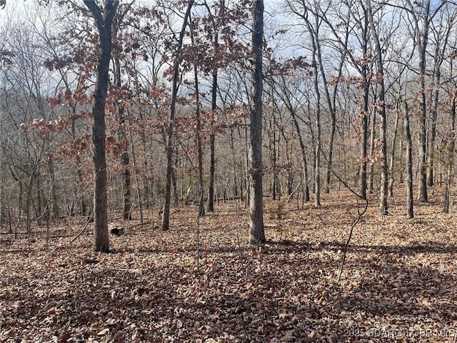 LOT501 Cambridge Dr, Lake Ozark, MO 65049 - photo 13