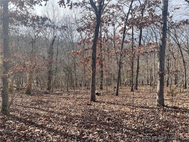LOT501 Cambridge Dr, Lake Ozark, MO 65049 - photo 14