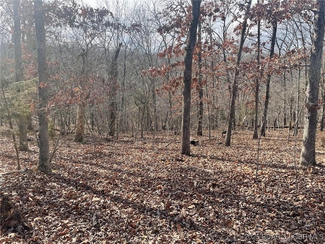 LOT501 Cambridge Dr, Lake Ozark, MO 65049 - photo 15