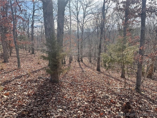 LOT501 Cambridge Dr, Lake Ozark, MO 65049 - photo 16