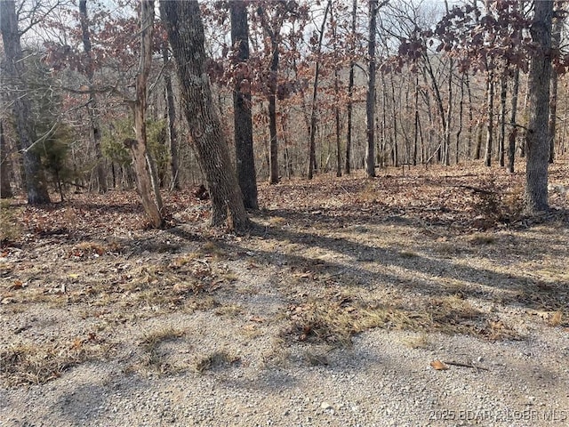LOT501 Cambridge Dr, Lake Ozark, MO 65049 - photo 17