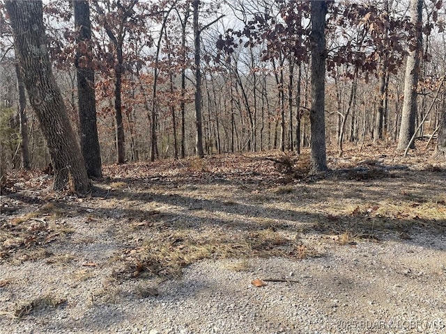 LOT501 Cambridge Dr, Lake Ozark, MO 65049 - photo 18