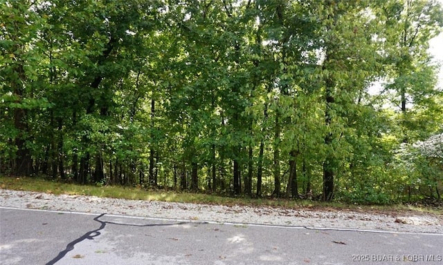 LOT501 Cambridge Dr, Lake Ozark, MO 65049 - photo 3