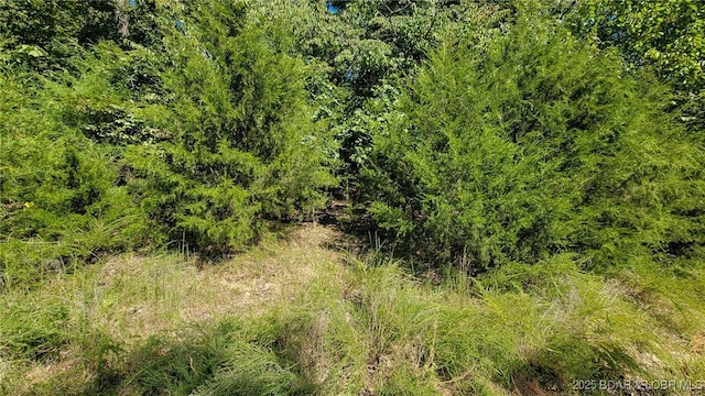 Listing photo 2 for LOT1261 Spring Creek Dr, Porto Cima MO 65079