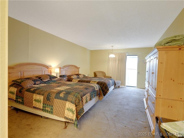 bedroom featuring carpet floors and access to exterior