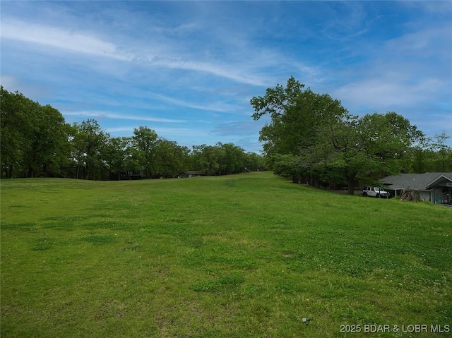 161 Lubbers Quarters, Osage Beach, MO 65065 - view of green lawn
