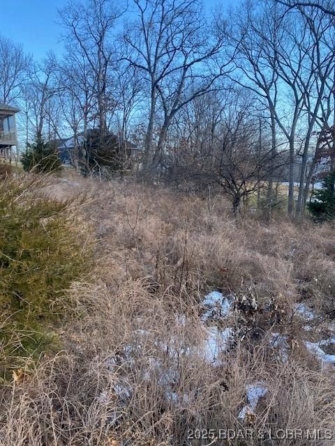 LOT29 Country Club Dr, Lake Ozark, MO 65049 - photo 1