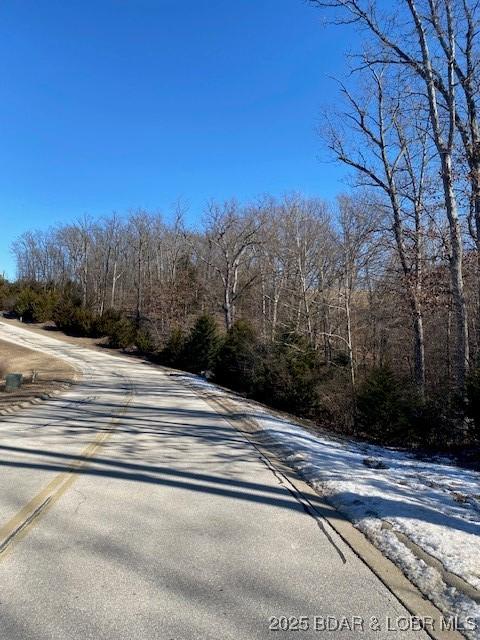 LOT29 Country Club Dr, Lake Ozark, MO 65049 - photo 2