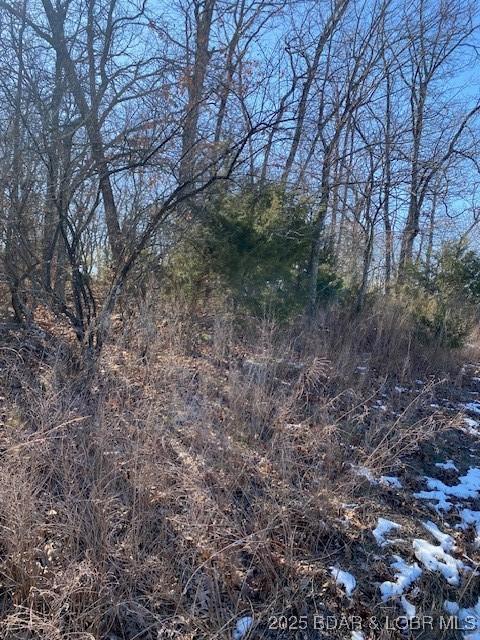 LOT29 Country Club Dr, Lake Ozark, MO 65049 - photo 4