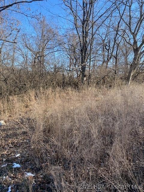LOT29 Country Club Dr, Lake Ozark, MO 65049 - photo 5