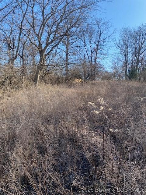 LOT29 Country Club Dr, Lake Ozark, MO 65049 - photo 6