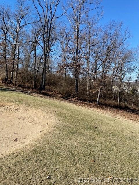 LOT29 Country Club Dr, Lake Ozark, MO 65049 - photo 7