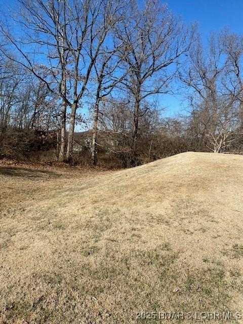 LOT29 Country Club Dr, Lake Ozark, MO 65049 - photo 8