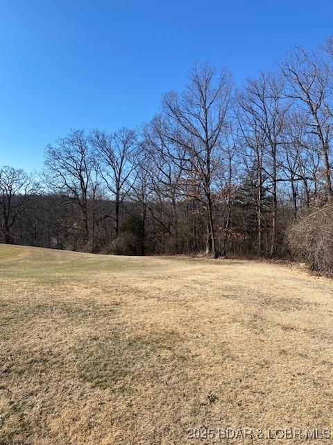 LOT29 Country Club Dr, Lake Ozark, MO 65049 - photo 9