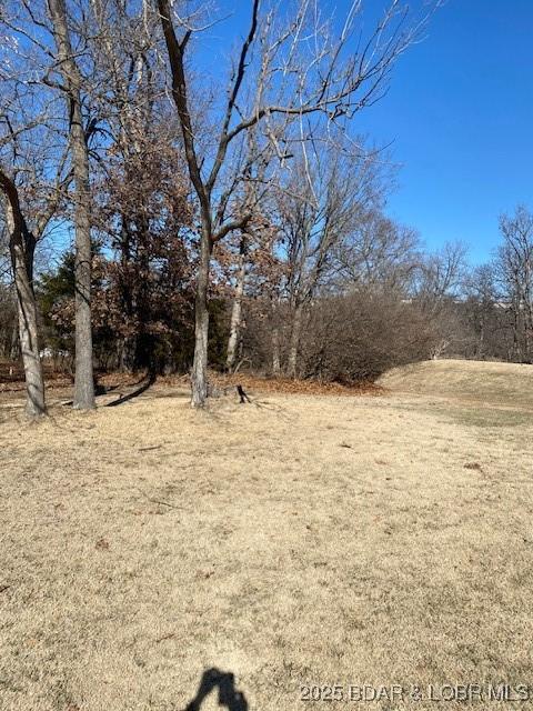 LOT29 Country Club Dr, Lake Ozark, MO 65049 - photo 10