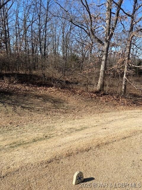 LOT29 Country Club Dr, Lake Ozark, MO 65049 - photo 11