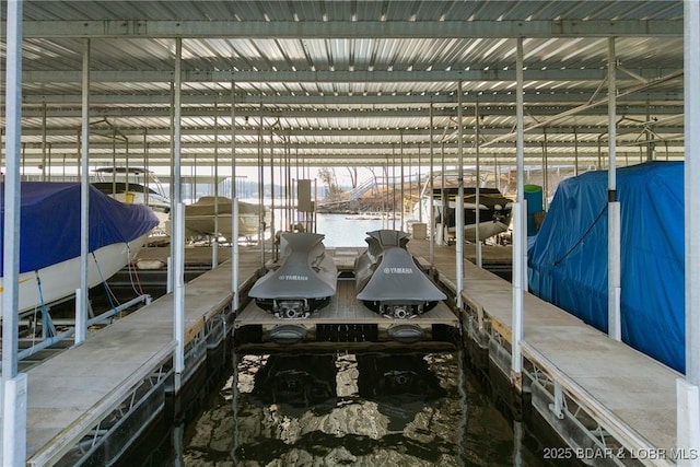 dock area with a water view