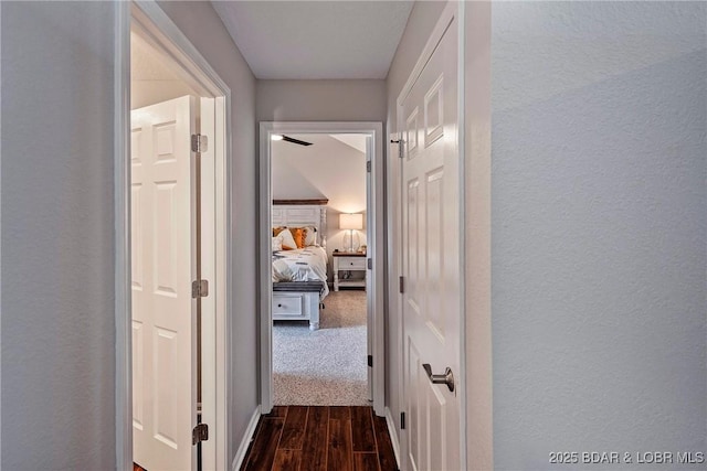 hall featuring dark hardwood / wood-style flooring