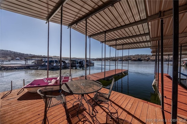 dock area with a water view