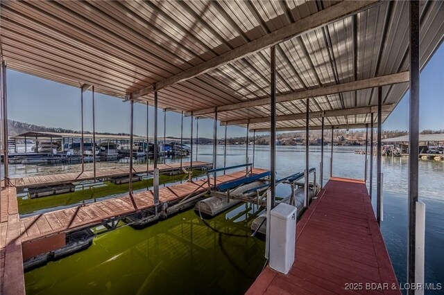 dock area with a water view