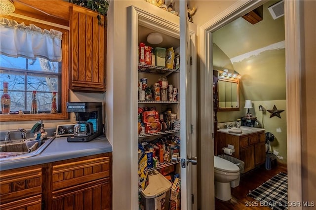 pantry with a sink and visible vents