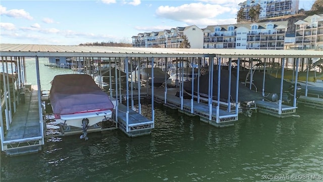 dock area with a water view