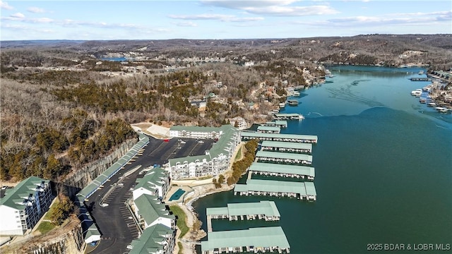 drone / aerial view featuring a water view