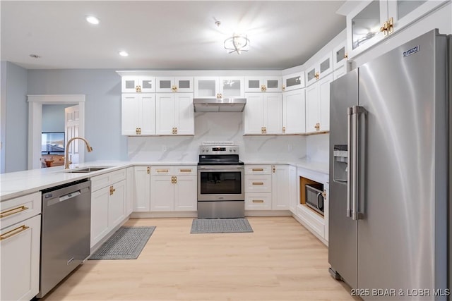 kitchen featuring stainless steel appliances, light countertops, a sink, light wood-type flooring, and under cabinet range hood