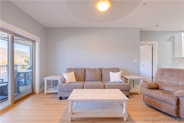 living area with light wood-type flooring