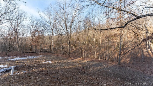 27436 Eola Ln, Rocky Mount, MO 65072 - view of landscape