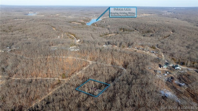 27436 Eola Ln, Rocky Mount, MO 65072 - aerial view