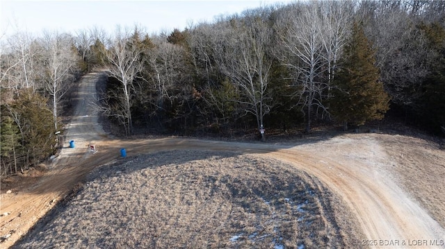 27436 Eola Ln, Rocky Mount, MO 65072 - view of road
