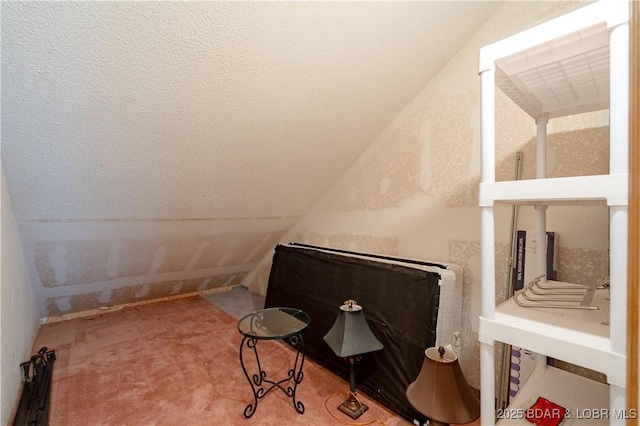 bathroom featuring vaulted ceiling and a textured ceiling